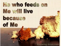 Spiritual Food - Man’s Nature and Destiny (22)